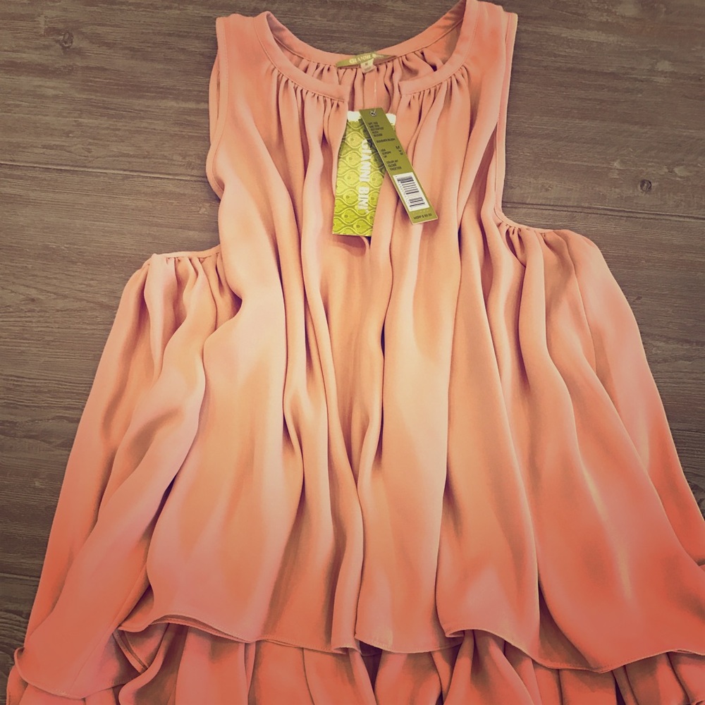 Brand New Gianni Bini M Blush Ruth Blouse
